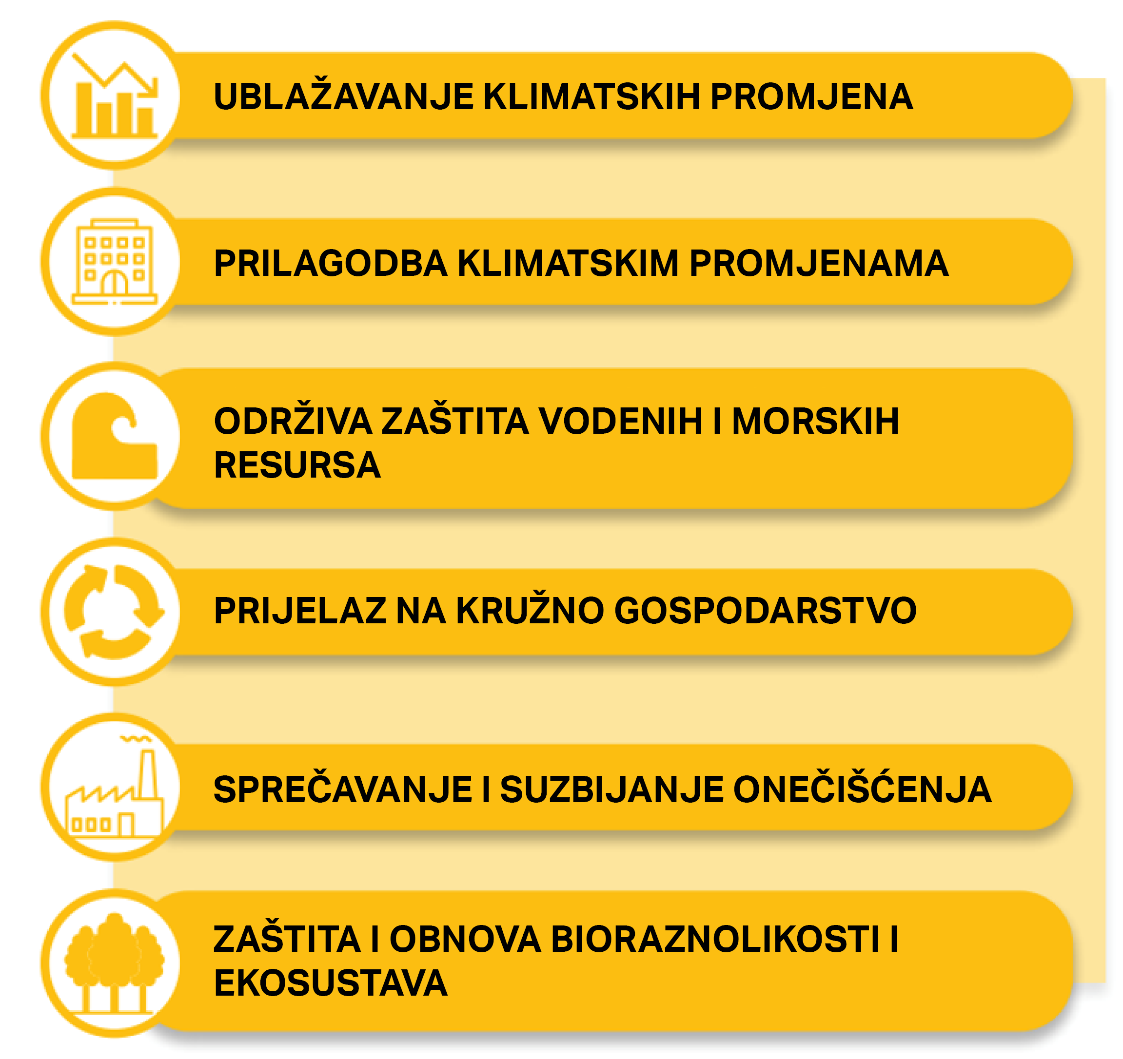 edukacija slika