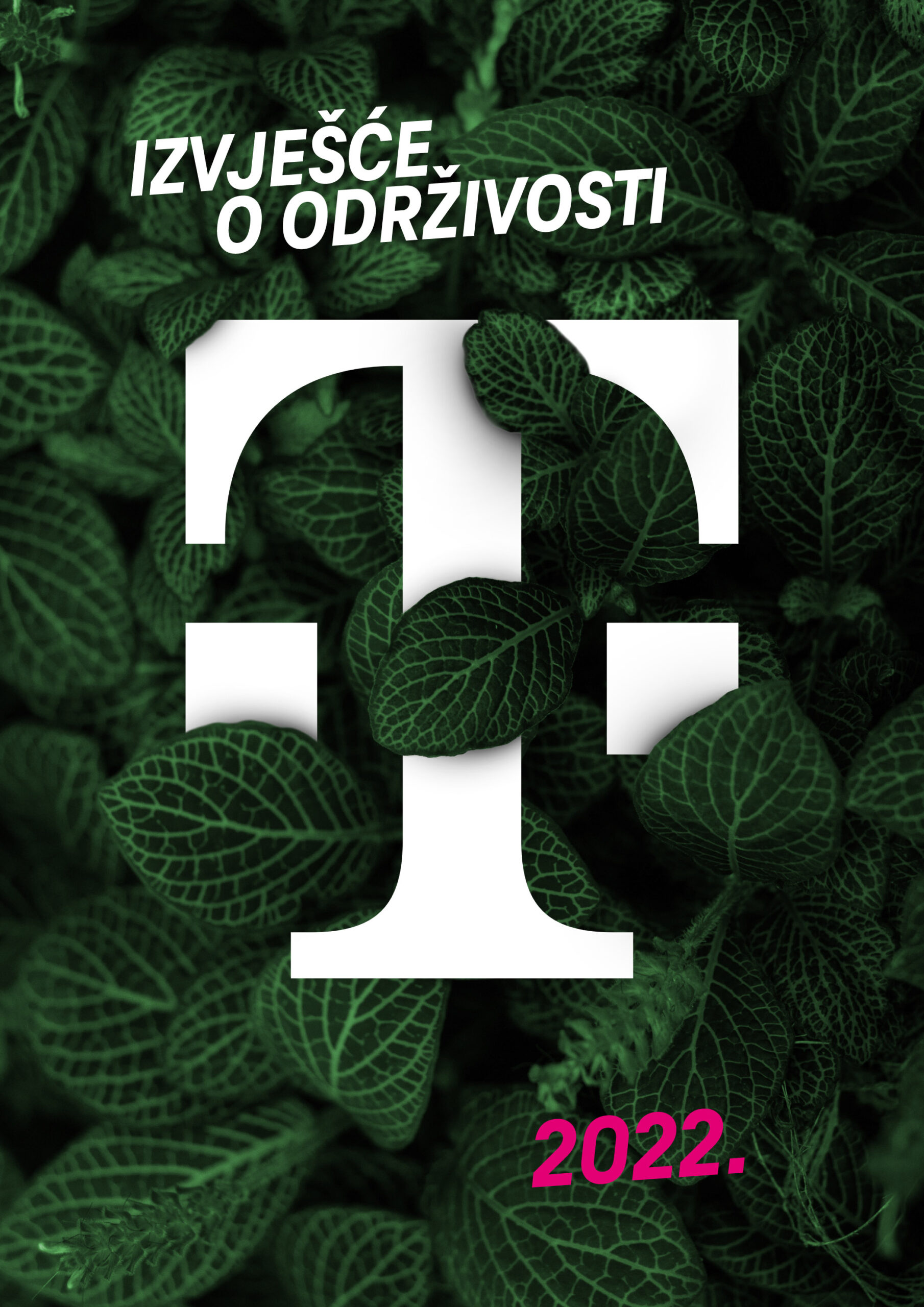 edukacija slika
