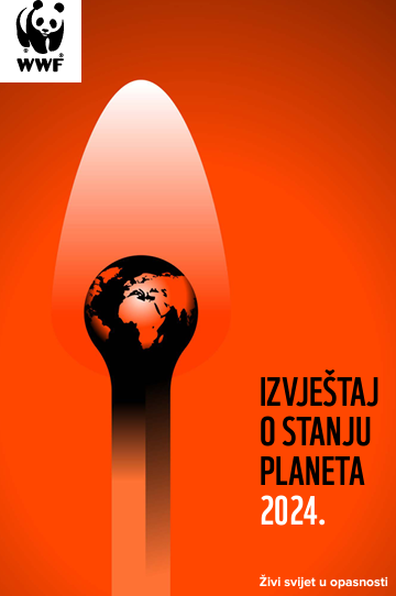 edukacija slika
