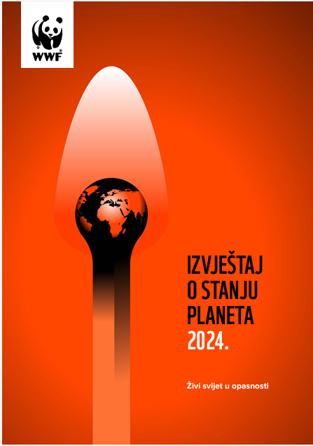 edukacija slika