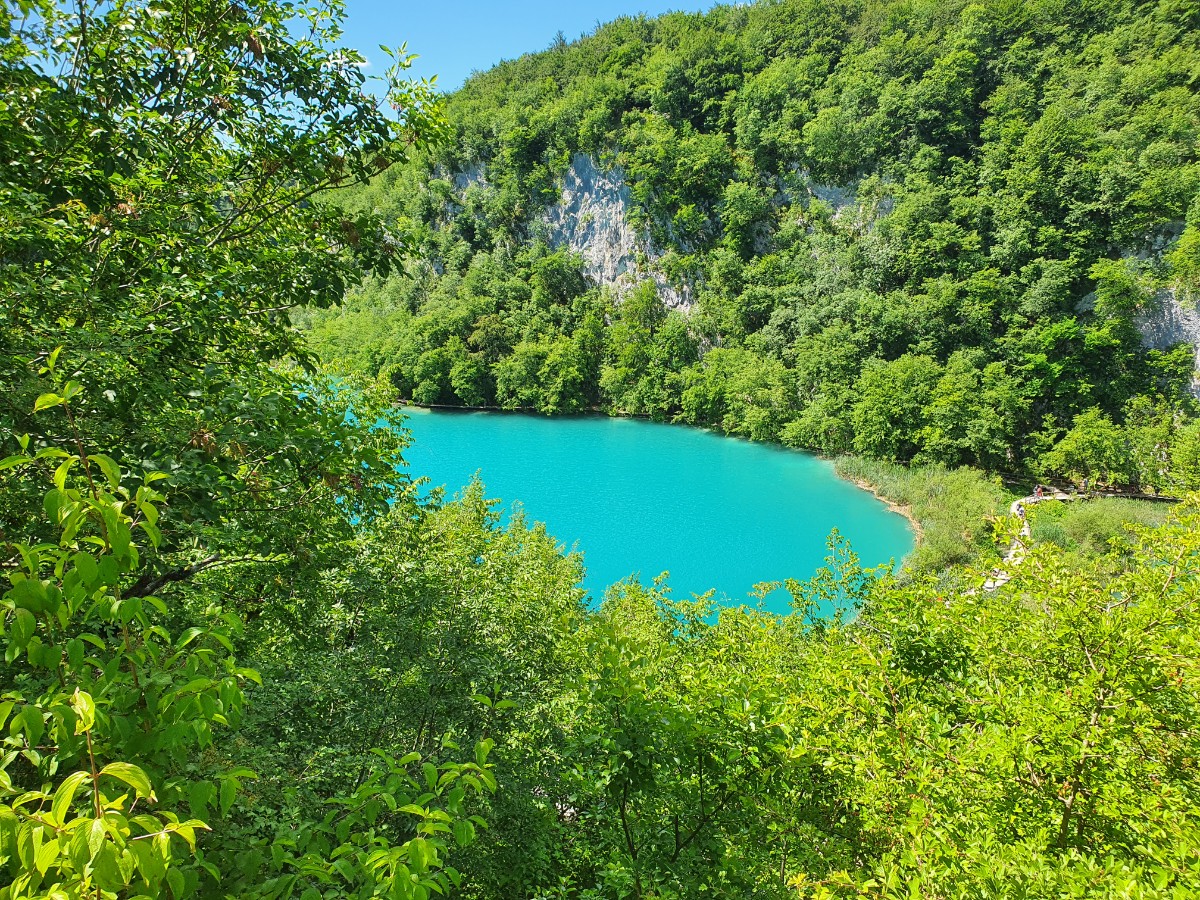 Europska komisija je objavila Plan za korištenje Kredita za prirodu (Nature Credits)